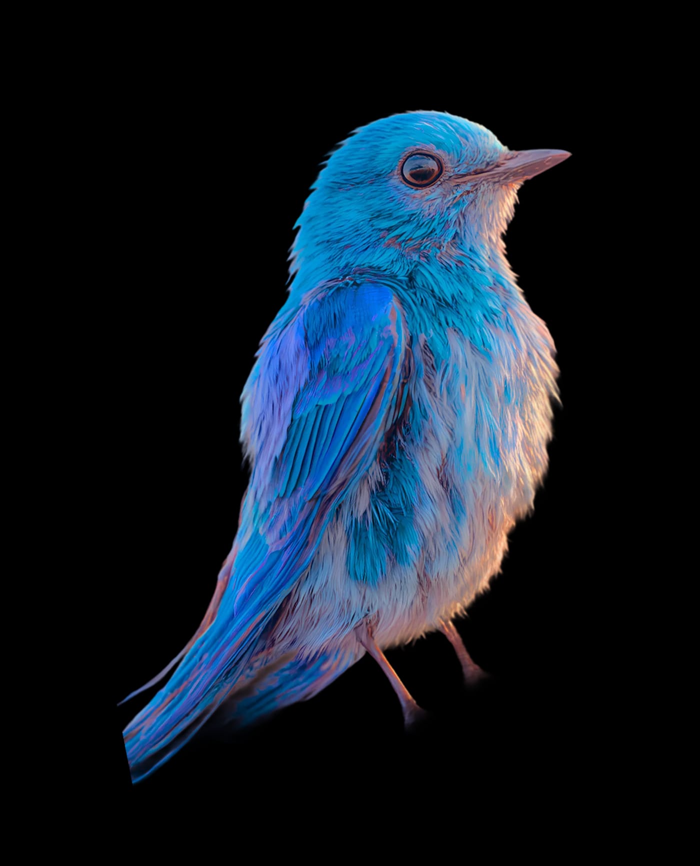 A blue bird in the Clevora sky composition